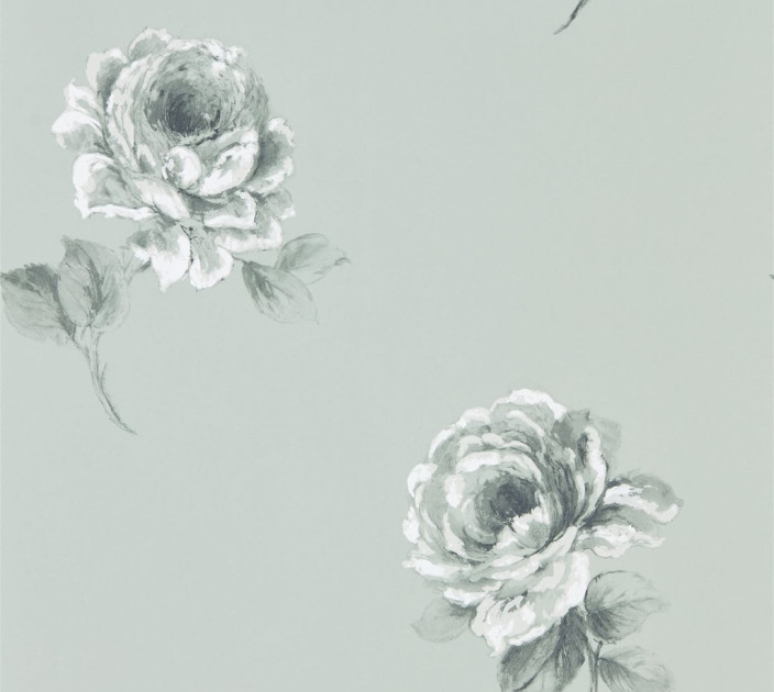 Wallpaper Sanderson Waterperry DWAP216278