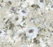 Wallpaper Decoprint Essentials EE22549