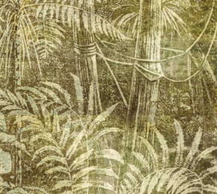 Wallpaper Khroma Cabinet Of Curiosities DGCAB1024