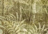 Wallpaper Khroma Cabinet Of Curiosities DGCAB1024