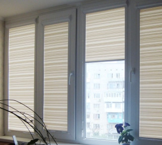 Blinds under straw 20202132