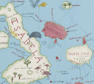Sanderson Voyage of Discovery Wallpaper DVOY213366