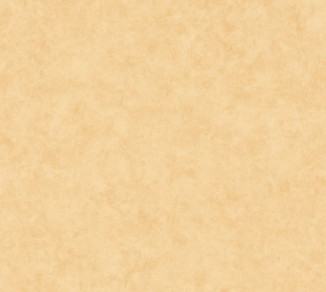 Wallpaper Caselio Beton 2 101481515