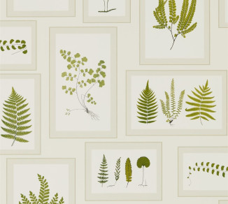 Sanderson Woodland Walk Wallpaper DWOW215712