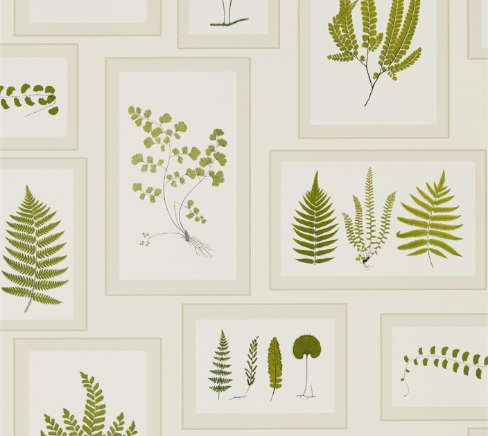 Шпалери Sanderson Woodland Walk DWOW215712