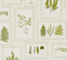 Шпалери Sanderson Woodland Walk DWOW215712