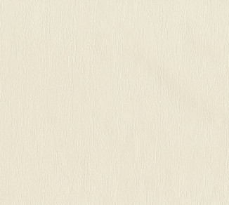 Wallpaper AS Creation Perfect 38761-5