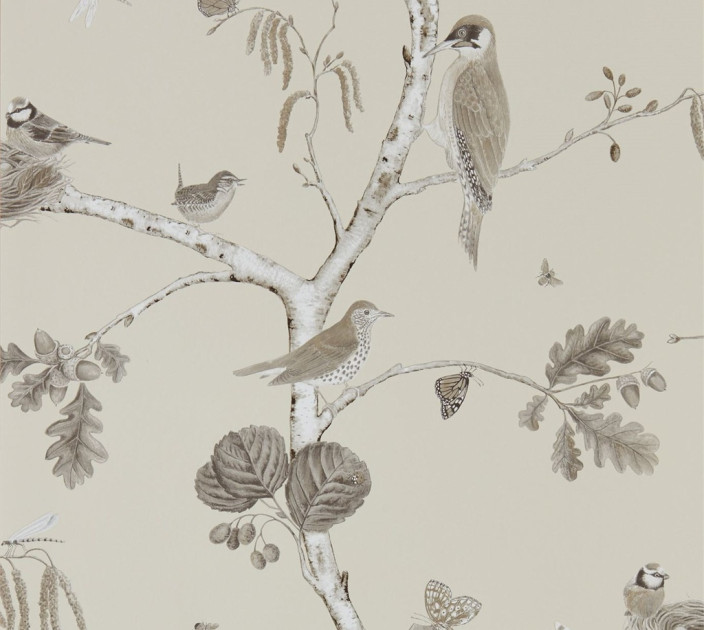 Sanderson Woodland Walk Wallpaper DWOW215704