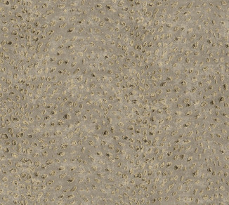 Wallpaper Khroma Cabinet Of Curiosities CAB803