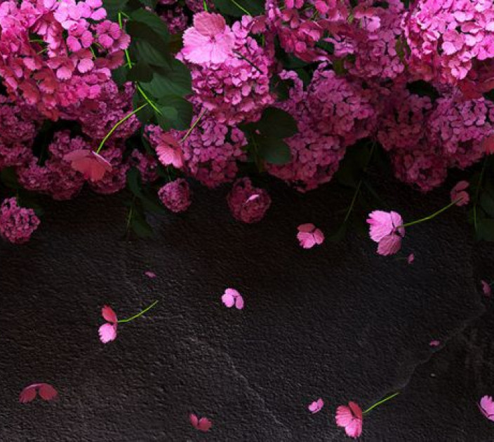 Photo wallpaper Your interior 3D Flowers 21333
