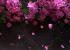 Photo wallpaper Your interior 3D Flowers 21333
