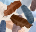Photo wallpapers Wallstyle Leaves 5121120191-3