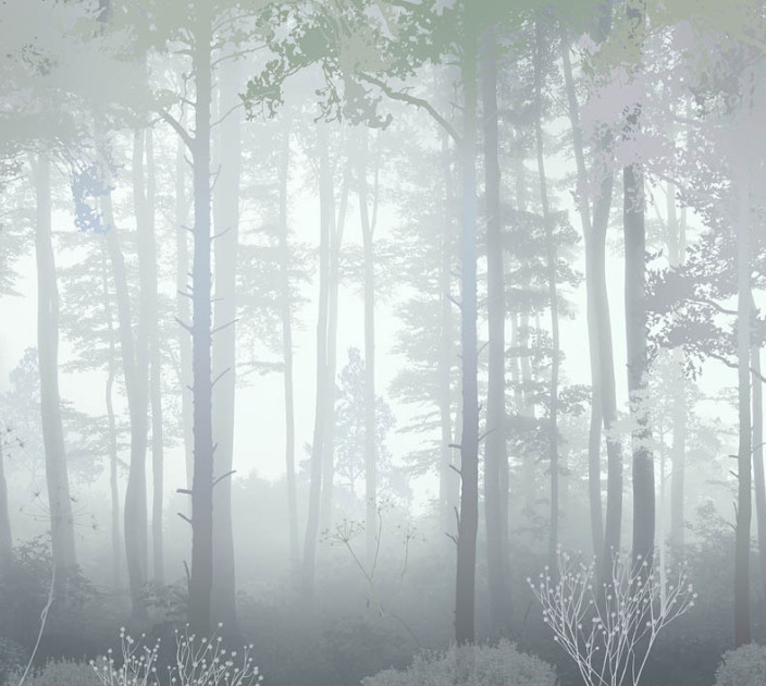 Photo wallpapers Wallstyle Forest 52709201941