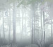 Photo wallpapers Wallstyle Forest 52709201941
