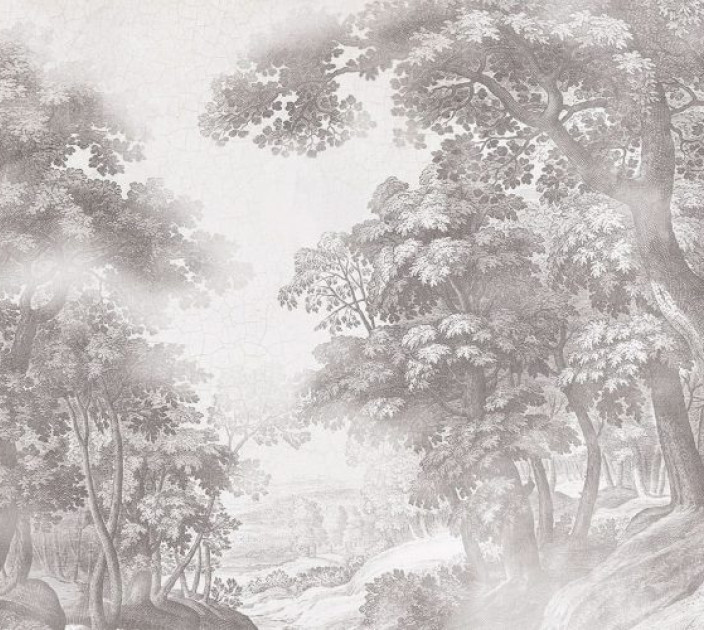 Photo wallpaper Your interior Gray forest 21528