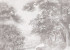 Photo wallpaper Your interior Gray forest 21528