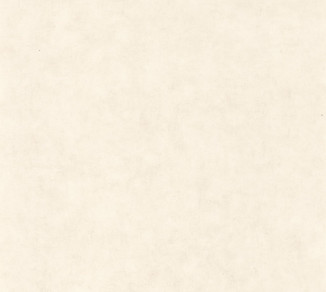 Wallpaper Caselio Beton 2 101480010