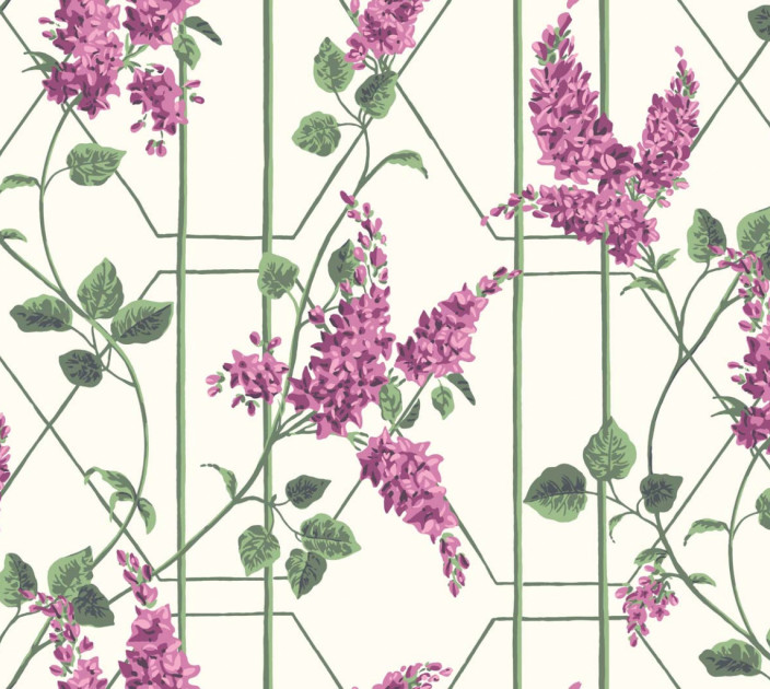 Wallpaper Cole&Son Botanical Botanica 115-5013
