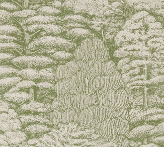 Sanderson Woodland Walk Wallpaper DWOW215720