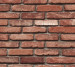 Wallpaper Du&Ka Natura DK22100-1