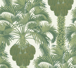 Wallpaper Cole&Son Martyn Lawrence Bullard 113-1004