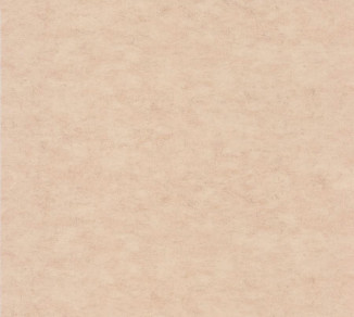 Wallpaper Caselio Beton 2 101482551
