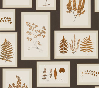 Sanderson Woodland Walk Wallpaper DWOW215713