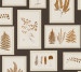 Шпалери Sanderson Woodland Walk DWOW215713