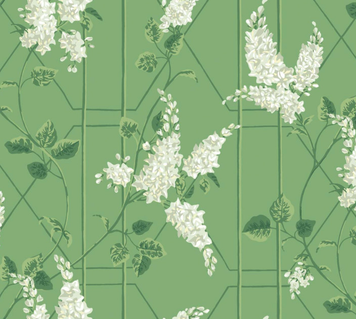 Wallpaper Cole&Son Botanical Botanica 115-5016