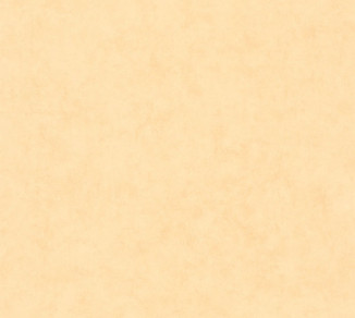 Wallpaper Caselio Beton 2 101483100