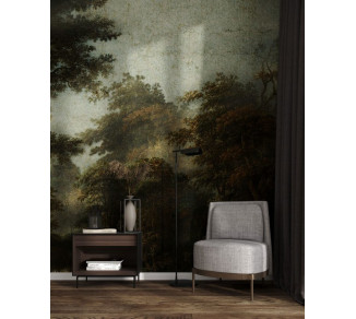Photo wallpapers Your interior Dark forest 21563
