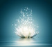 Photo wallpapers Wallstyle Lily 108867233