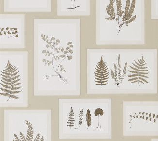 Sanderson Woodland Walk Wallpaper DWOW215714