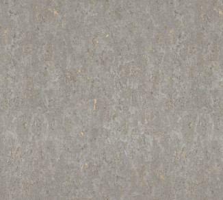 Wallpaper Rasch Metal Spirit 977424