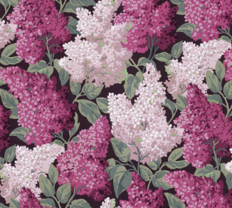 Шпалери Cole&Son Botanical Botanica 115-15045