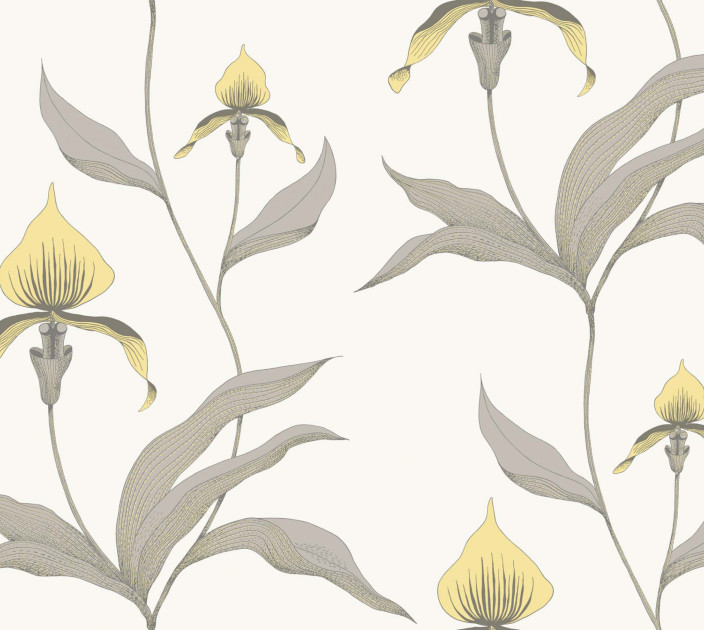 Шпалери Cole&Son The Contemporary Collection 95-10057