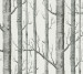 Шпалери Cole&Son The Contemporary Collection 69-12147