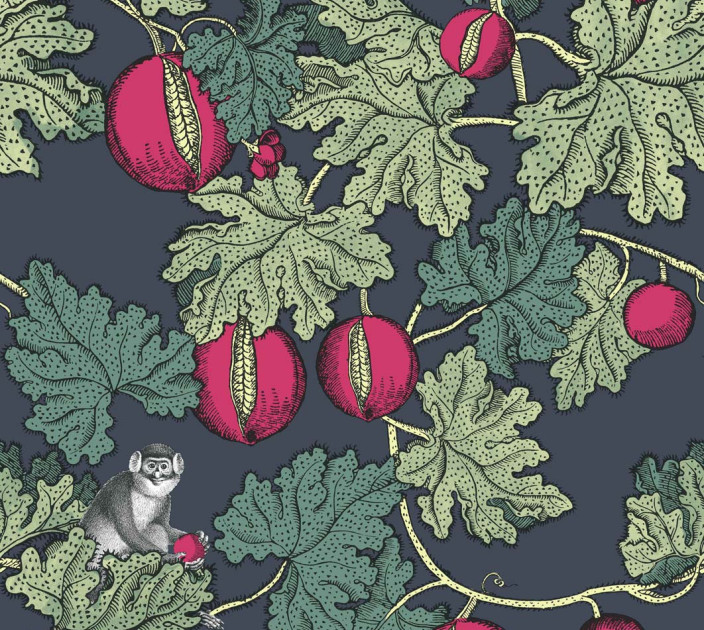 Шпалери Cole&Son Fornasetti Senza Tempo 114-1001