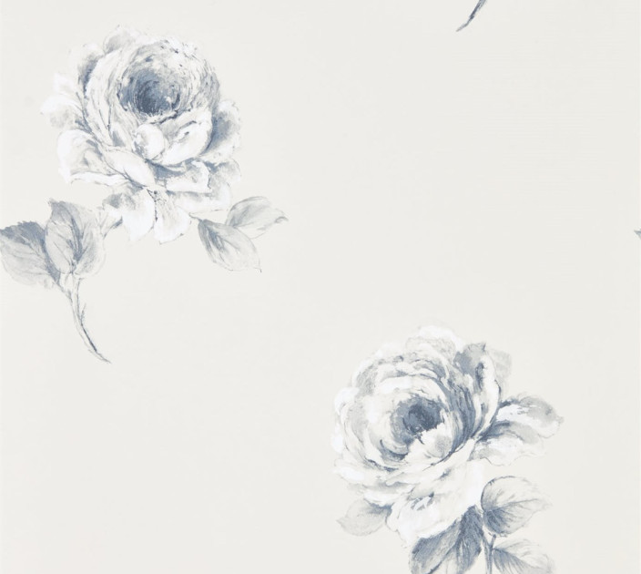 Wallpaper Sanderson Waterperry DWAP216277