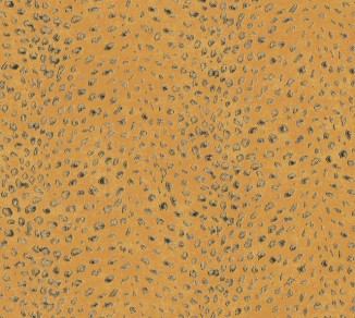 Wallpaper Khroma Cabinet Of Curiosities CAB804