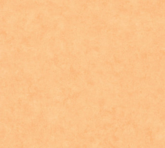 Wallpaper Caselio Beton 2 101483250