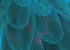 Photo wallpaper Your interior 3D Wings 20732