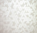 Wallpaper Holden Alocasia 35983