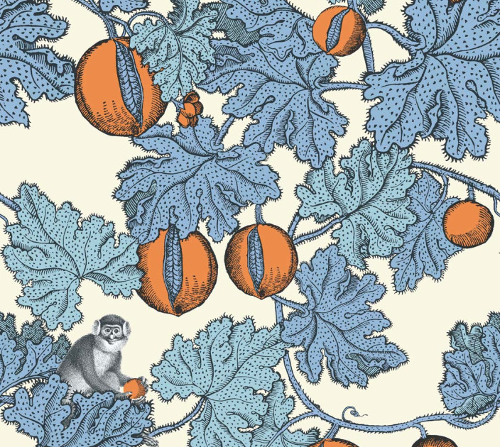 Wallpaper Cole&Son Fornasetti Senza Tempo 114-1003