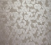 Wallpaper Holden Alocasia 35981