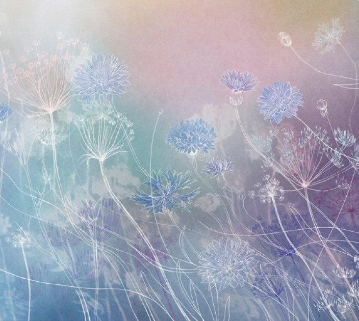 Фотошпалери Ваш інтер'єр Різнокольорові квіти 21484