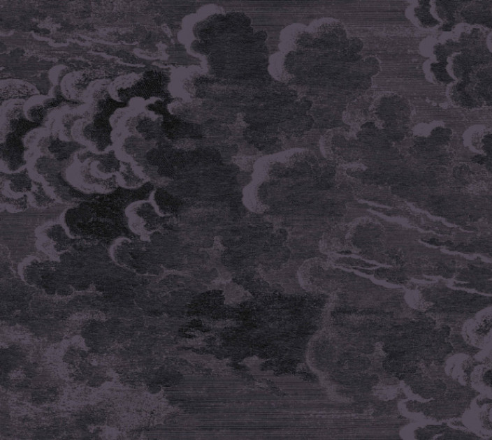 Wallpaper Cole&Son Fornasetti Senza Tempo 114-28057