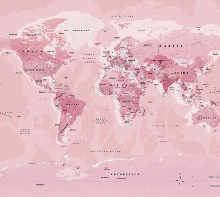 Photo wallpapers Your interior Pink map 20331